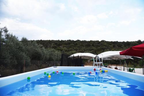 a large swimming pool with a blue pool at Kandia Woodlands in Kandia