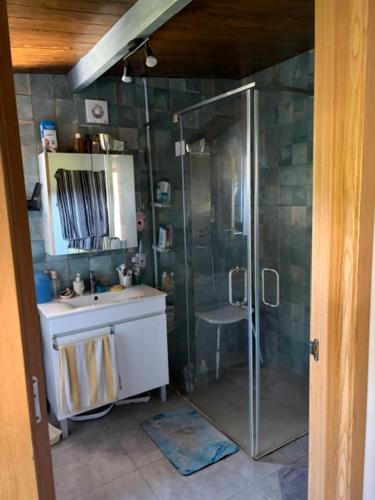 a bathroom with a shower and a sink and a toilet at SENRa in Marco de Canaveses