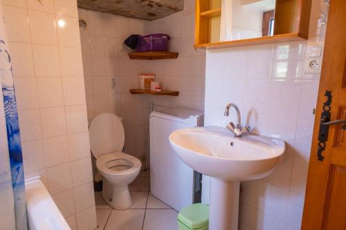 a bathroom with a sink and a toilet at Gîte agnès 2/3 personnes in Laval-du-Tarn
