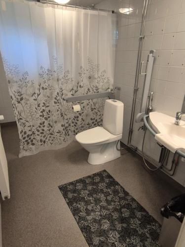 a bathroom with a toilet and a sink and a shower curtain at Koivutie Best rooms in Ranua
