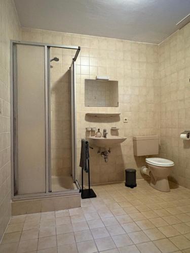 a bathroom with a shower and a toilet and a sink at Ferienwohnung WAUzenberg mit Pool und Sauna in Hauzenberg