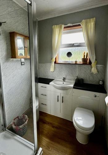 a bathroom with a toilet and a sink and a window at Airyolland in Newton Stewart