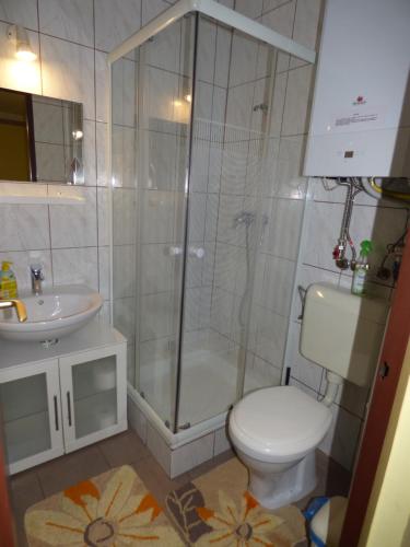 a bathroom with a shower and a toilet and a sink at Kovács Vendégház in Zalaegerszeg