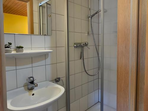 a bathroom with a sink and a shower at Ferienwohnung Riesling in Burg