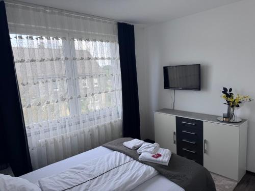 a bedroom with a bed and a window with a television at DanMa Ferienwohnung Apartment-Gemeinschaftsküche in Laubach