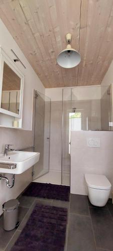 a bathroom with a sink and a toilet and a shower at Ferienhaus Licht-Blick 9 in Wiltingen