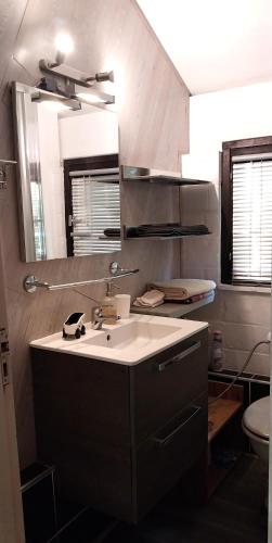 a bathroom with a sink and a mirror at Dix doré in Blaimont