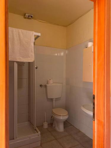 a bathroom with a toilet and a shower and a sink at Podere Ortacavoli in Terriccio