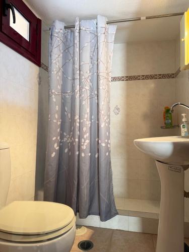 a bathroom with a toilet and a shower curtain at La Casa Nuova in Chios