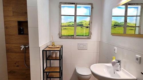 a bathroom with a sink and a toilet and two windows at Neues 2 Zimmer Schmuckstück in Ergetsweiler