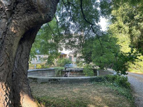 a tree with a fountain in the middle of a park at Château du Grand Hamel in Mesnil-Raoul