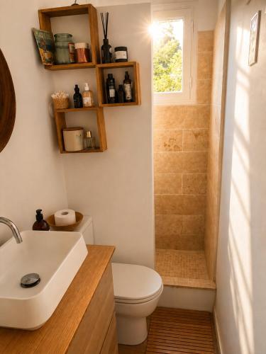 a bathroom with a toilet and a sink and a shower at Chez Billie et Moon in Landéda