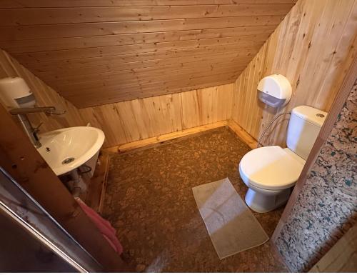a small bathroom with a toilet and a sink at Milžinai Retreat in Zarasai