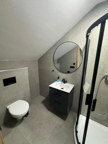 a bathroom with a toilet and a sink and a mirror at Penzion Mlýn Cibotín in Česká Bělá