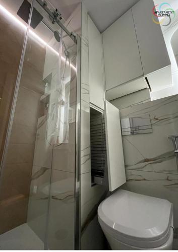 a bathroom with a toilet and a glass shower at Apartament Olimpia in Lębork