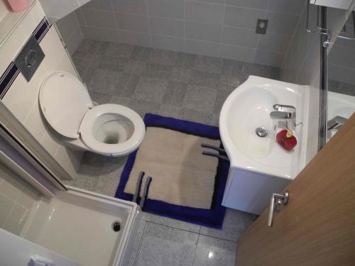 a bathroom with a toilet and a sink at Apartments JP in Jezera