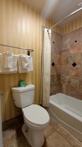 a bathroom with a toilet and a shower and a tub at Deluxe Inn By Capital O Odessa I-20 in Odessa
