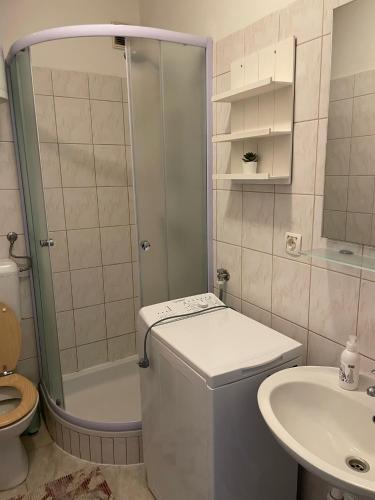 Studio & Apartment Biograd Paszman