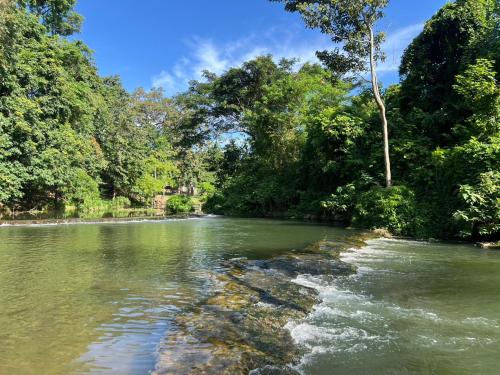 a river with trees on the side of it at เป้แคมป์ปิ้งเขาใหญ่ in Ban Khanong Phra Tai