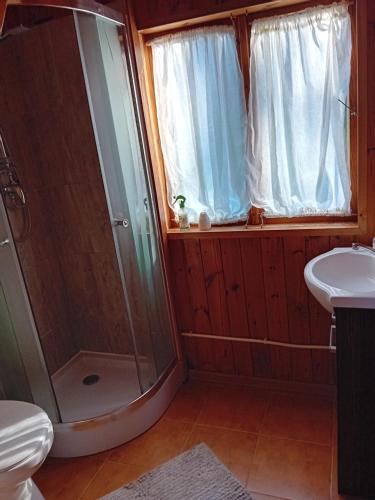 a bathroom with a shower and a sink at U Peterki in Woryty