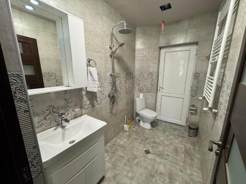a bathroom with a sink and a toilet and a mirror at Villa Kazbegi in Tkarsheti