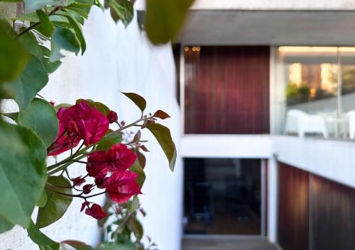 Oporto Luxury Vacation Suite 2-near Casa da Musica