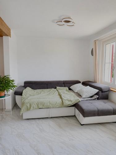 a bed and a couch in a room at Helle Wohnung nahe Bern in Worb