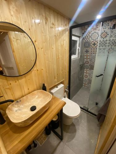 a bathroom with a sink and a toilet and a shower at Cabana Rânca in Ranca
