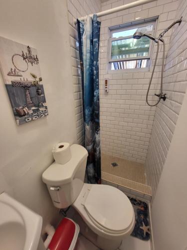 a bathroom with a toilet and a sink and a shower at Paseo Miami in Miami