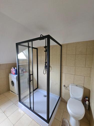 a shower stall in a bathroom with a toilet at Dom w Zbychowie in Gniewowo