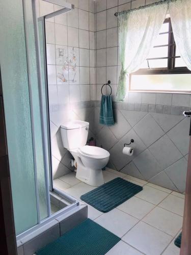 a bathroom with a toilet and a green rug at Glenmore Sea View Appartments in Leisure Crest