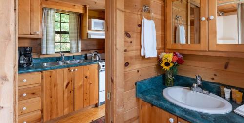 a bathroom with a sink and a vase of flowers at Engadine Inn and Cabins in Candler