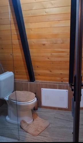 a bathroom with a toilet in a room with wooden walls at Villa Leos in Ferizaj