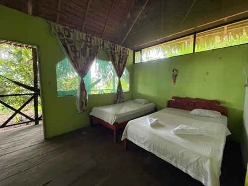 two beds in a room with green walls and windows at Amazon Lodge and Expeditions in Iquitos