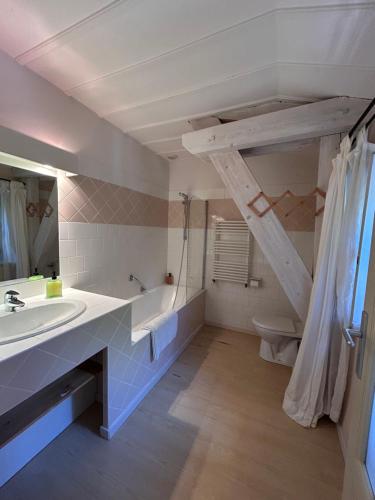 a bathroom with a sink and a toilet and a ladder at Auberge des Veillees in Blesle