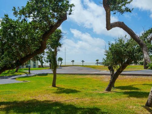 a group of trees in a park with a road at Beautiful Bay View Condo in Rockport