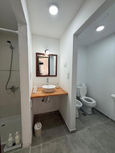 a bathroom with a sink and a toilet and a mirror at Don Sánchez in Cafayate