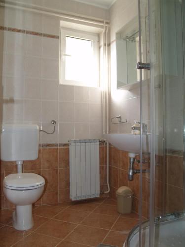 a bathroom with a toilet and a sink at Apartment Roglić in Rab