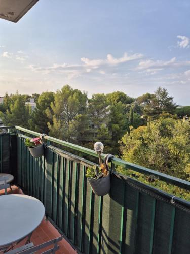T3 Cosy et lumineux avec terrasse