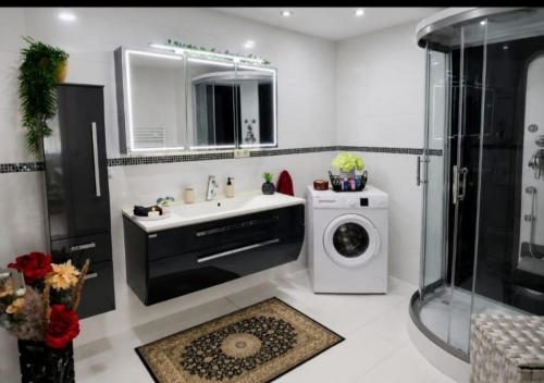 a bathroom with a sink and a washing machine at Deea Apartment in Schottwien