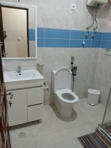 a bathroom with a toilet and a sink and a mirror at Salão Zuzu in Ribeira Grande