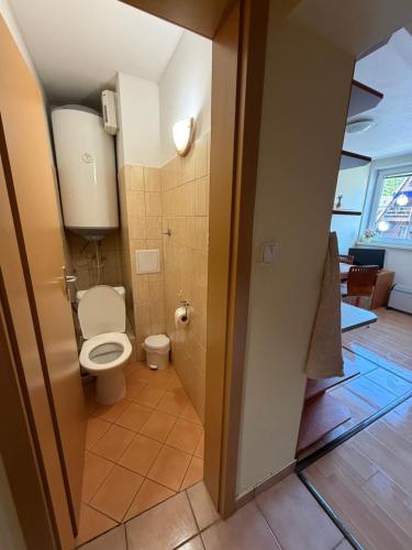 a bathroom with a toilet in a room at Donovaly apartmán 33 in Donovaly