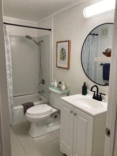 a bathroom with a toilet and a sink and a mirror at Princeville North Shore Retreat - 1200 SF, Lanai, Loft & Kitchen in Princeville