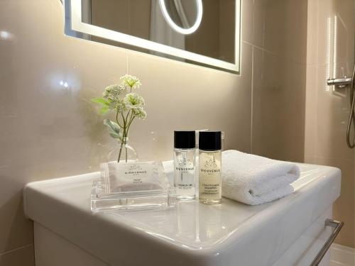 a bathroom sink with two bottles of soap and towels at Hôtel La Sanguine in Paris