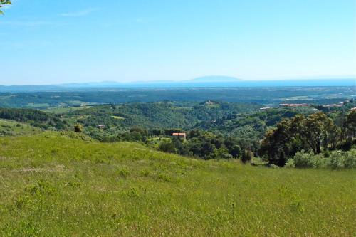a grassy hill with a view of a valley at Casale Pundarika in Riparbella