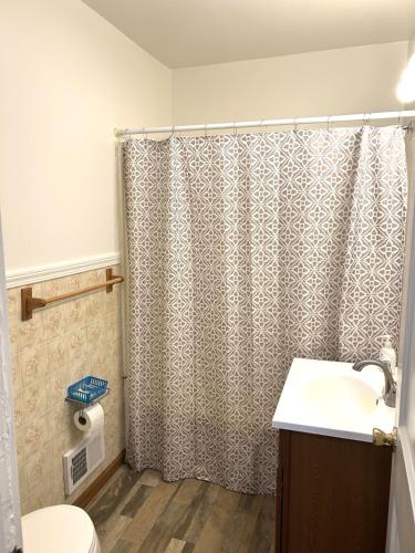 a bathroom with a shower curtain and a sink at Hidden Haven Cottages in Lake City