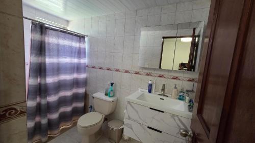a bathroom with a toilet and a sink and a mirror at Apartamento acogedor con equipamiento premium in El Café
