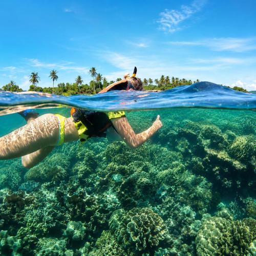 a woman snorkeling over a coral reef at MAREVA KHEM BEACH HOTEL - Free Beach Shuttle in Phú Quốc
