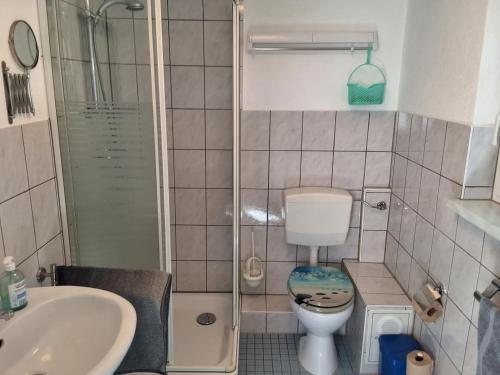 a bathroom with a toilet and a sink and a shower at NEU Ferienhaus am Saaler Bodden in Bartelshagen
