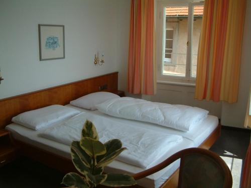 a bed in a room with a plant and a window at Hotel Strandcafé Dischinger in Überlingen